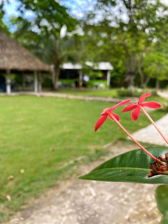 Eco Hotel Bosque Encantado Isla Grande  Exteriör bild